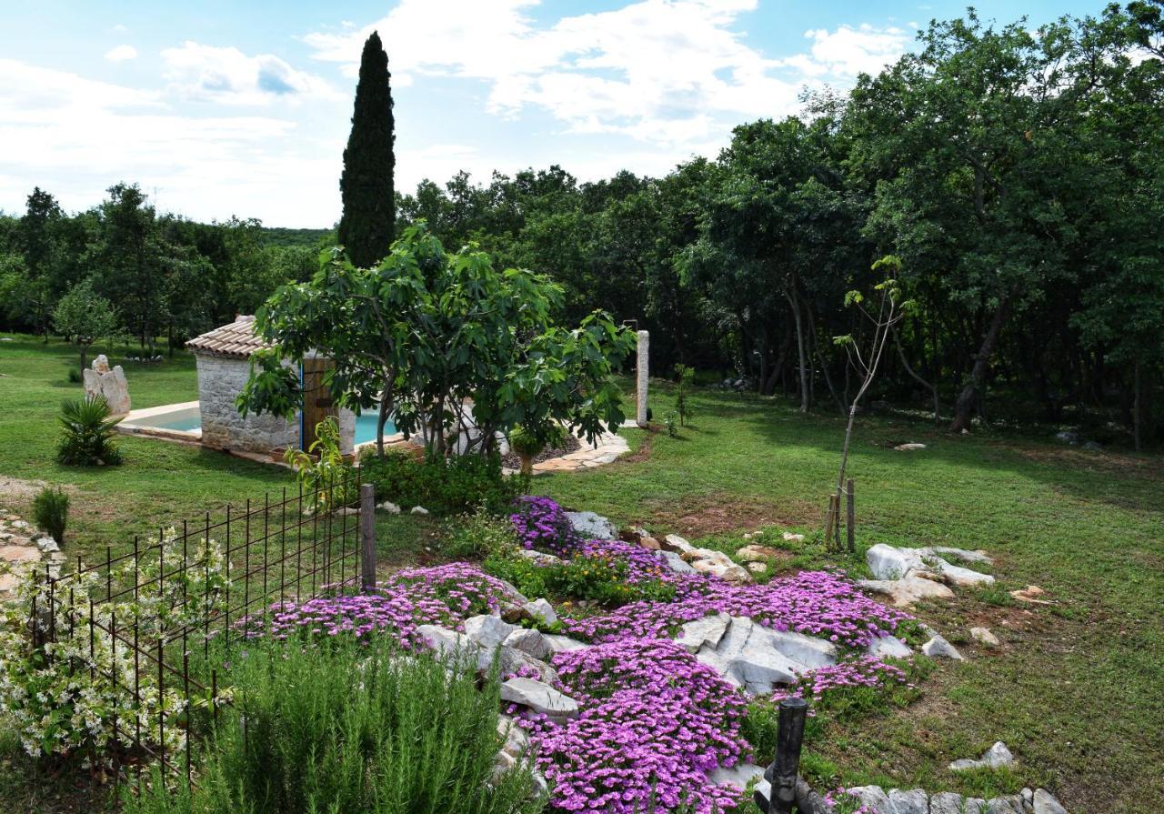 Cottage Al Merlo Olivo Buje Exterior photo